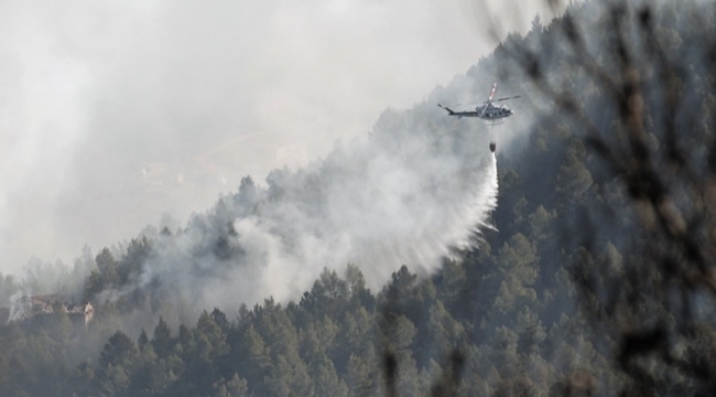 İspanya’daki orman yangınında 4 bin hektardan fazla alan kül oldu