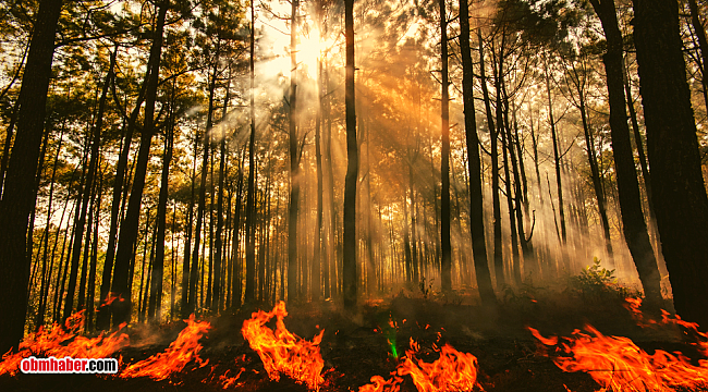 NASA uyardı: Kuraklık, sel, orman yangınları... Felaketler daha da artacak