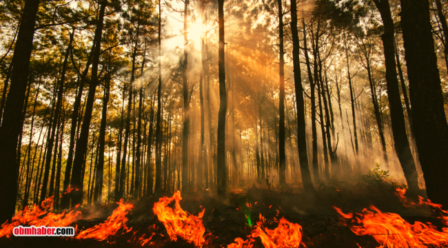 NASA uyardı: Kuraklık, sel, orman yangınları... Felaketler daha da artacak