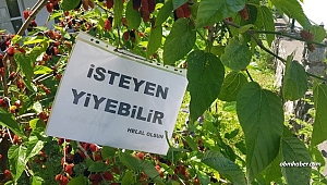 ‘Göz Hakkı’ diye dut ağacına astığı yazı yürekleri ısıttı