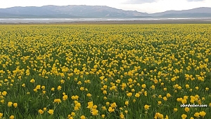 Keşiş Gölü doğanın bin bir rengiyle hayran bırakıyor