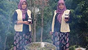 Orman köylüsü kadınlar kozalak pekmezi üreterek aile bütçelerine ve hastalıklara derman oluyorlar