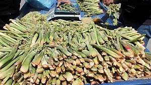 “Yayla Muzu” tezgâhlardaki yerini aldı