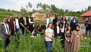 Yüksekovalı 100 kadın, 100 fidan dikti