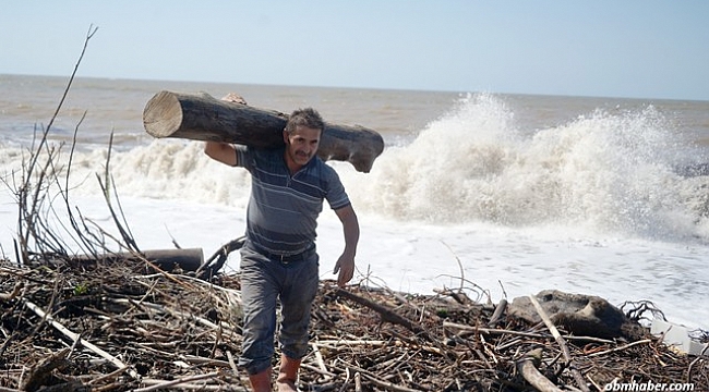 Kışlık yakacak ihtiyaçları için selin Karadeniz’e sürüklediği odunları topluyorlar