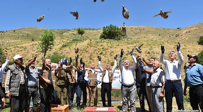 Salihli’de 450 kınalı keklik doğaya salındı