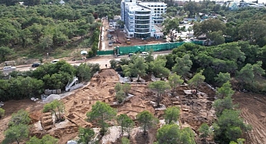 Çam ağaçlarını kesip yerine egzotik ağaçlar diken 5 yıldızlı otel için suç duyurusu