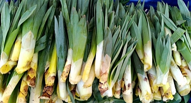 Binbir zahmetle toplanıyor, vatandaşlar yoğun talep gösteriyor