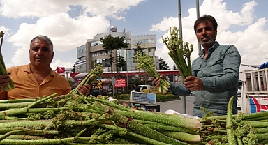 Bitlis'te 'yayla muzu' uçkunun fiyatı, 'Anamur muzunu' üçe katladı
