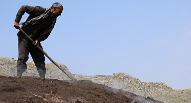 Narenciye odunları mangal kömürüne dönüşüyor