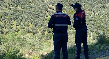 Orman yangınlarına karşı jandarmadan sıkı denetim