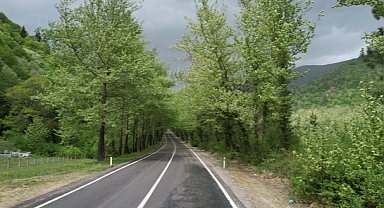 Safranbolu'daki ağaç tüneli hayran bırakıyor