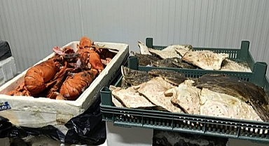 Yasa Dışı Avcılığa Geçit Yok