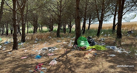 İstanbul ormanlarında tatilcilerden geriye çöp yığını kaldı